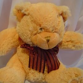 Teddy Bear Small