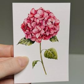 Hydrangea Pink Mini Card