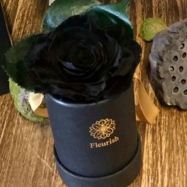 Black Eternal Rose