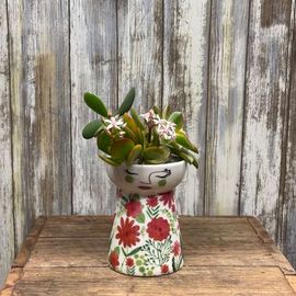 Tulip Dolly Vase With Succulent 