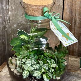 Terrarium Garden Of Love