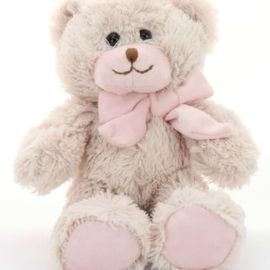 Pink Bow Teddy Bear