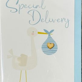 Special Delivery Baby Stork Card Blue