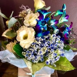 Welcome To The World Arrangement