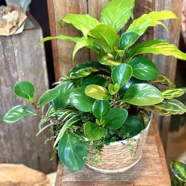 Foliage Basket
