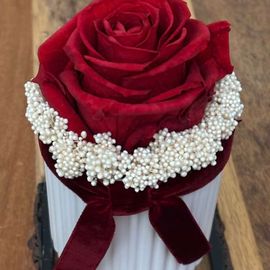 Preserved Love Red Rose