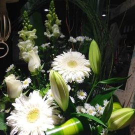 White Arrangement