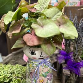Medium plant in large dolly vase