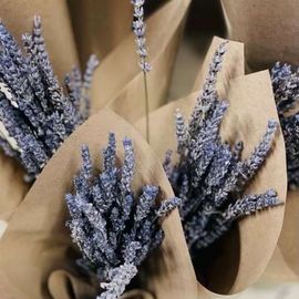 Dried Lavender