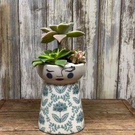 Blue Dolly Vase With Succulent 