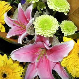 Hayley Bouquet