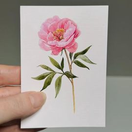 Sweet Peony Mini Card 