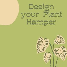 Design Your Plant Hamper