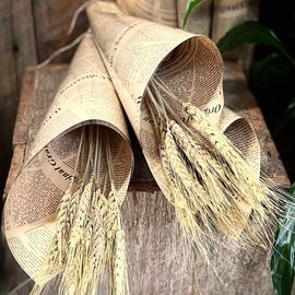 Dried Wheat