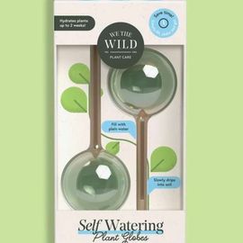 Self Watering Plant Globes
