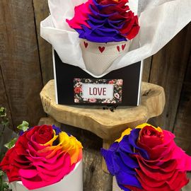 Preserved Rainbow Rose