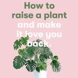 How To Raise A Plant Book