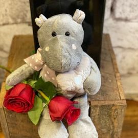 Heartfelt Hippo