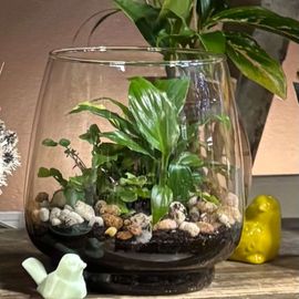 Glass Terrarium Gift