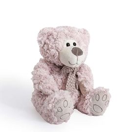 Luke Teddy Bear Pink