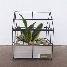 Succulent House 