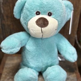 Mr Snuggles Aqua Teddy Bear 