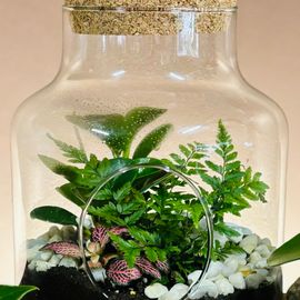 For The Love Of Terrariums 