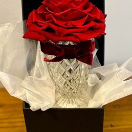 Preserved Red Rose Vase