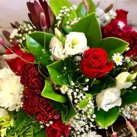 Gemma Arrangement
