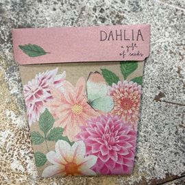 Dahlia - Gifts Of Seeds