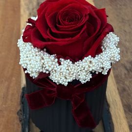 Lasting Love Preserved Red Rose
