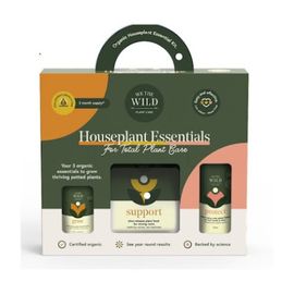 House Plants Essentials We The Wild