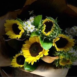 Sunflower Bouquet