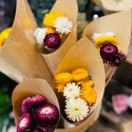 Paper Daisy Dried