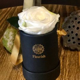 White Eternal Rose