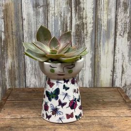 Butterfly Dolly Vase With Succulent 