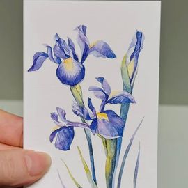 Iris Mini Card - 4 Designs 