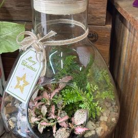 Terrarium Large Garden
