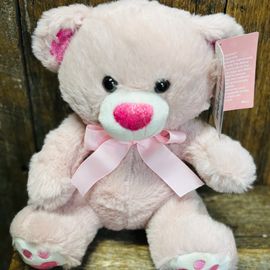 Pastel Peach Teddy Bear