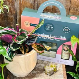 We The Wild Gift Pack & Plant 