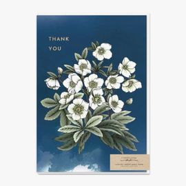 Hellebores Thank You Card