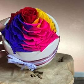 Preserved Rainbow Rose