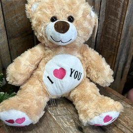 I Love You Teddy
