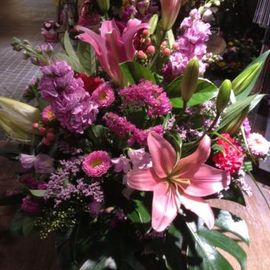 Mia`s Love Arrangement
