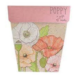 Gifts of Seeds - Poppy