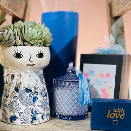 Dolly Vase Succulent 