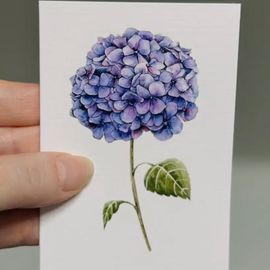 Hydrangea Blue Mini Card