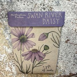 Swan River Daisy - Gifts Of Seeds