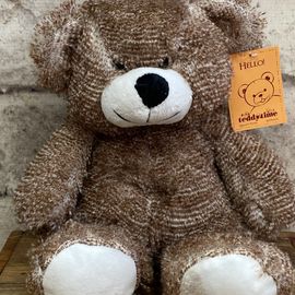 Brown & White Bear 