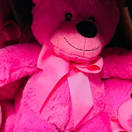 Pink Bear